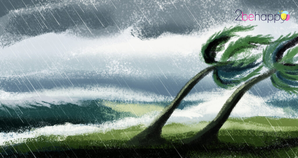 Palm trees give us a mighty lesson as how to survive the tough